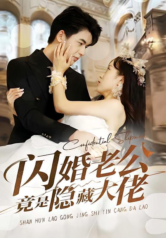 短剧《闪婚老公竟是隐藏大佬》海报