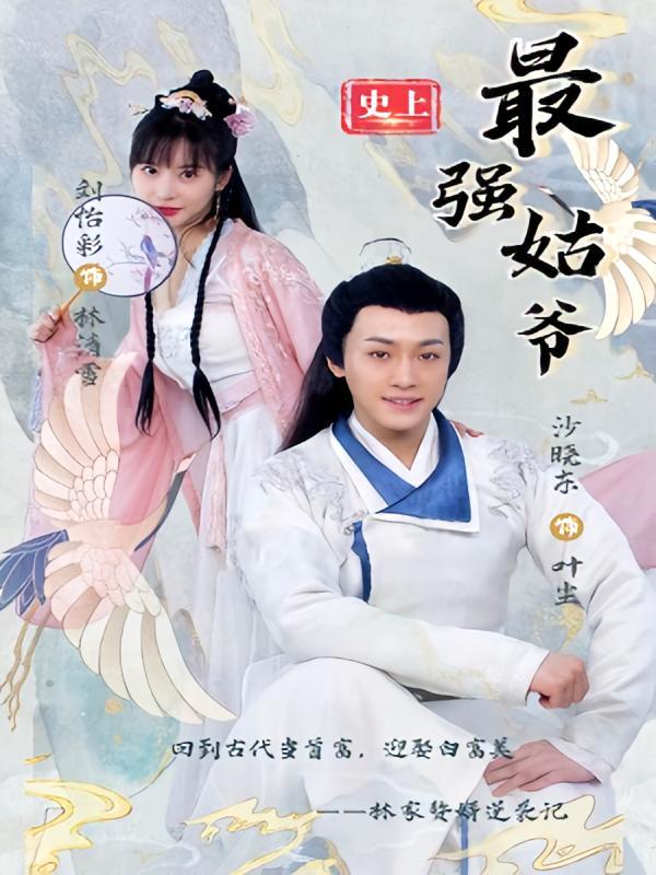 短剧《史上最强姑爷》海报