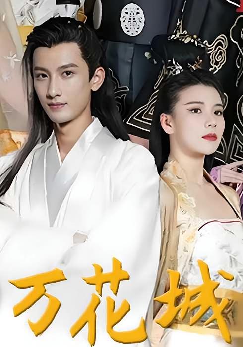 短剧《万花城》海报