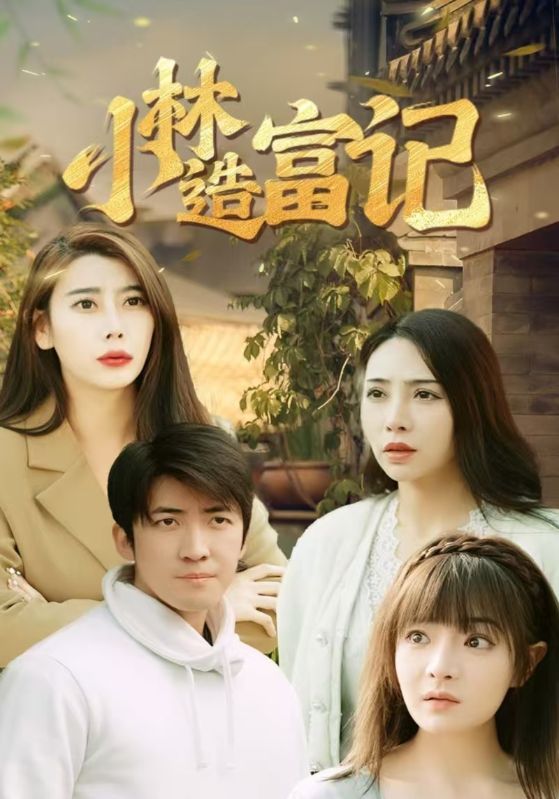 短剧《小林造富记》海报