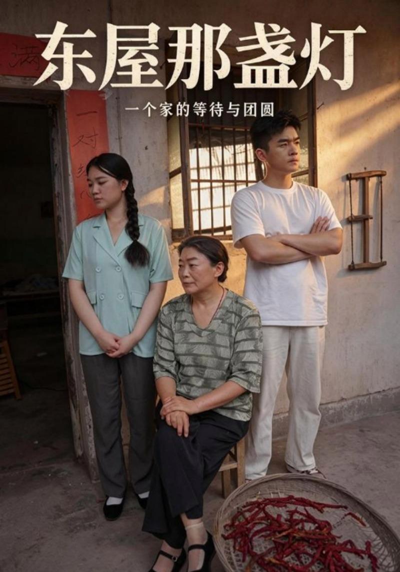 短剧《东屋那盏灯》海报