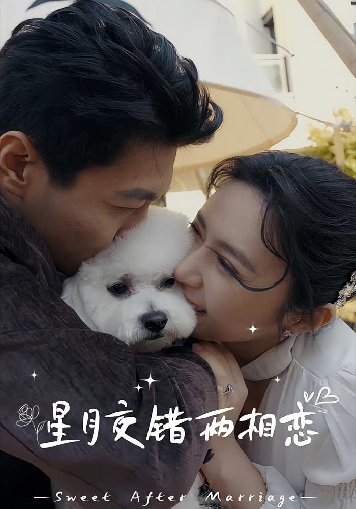 短剧《星月交错两相恋》海报