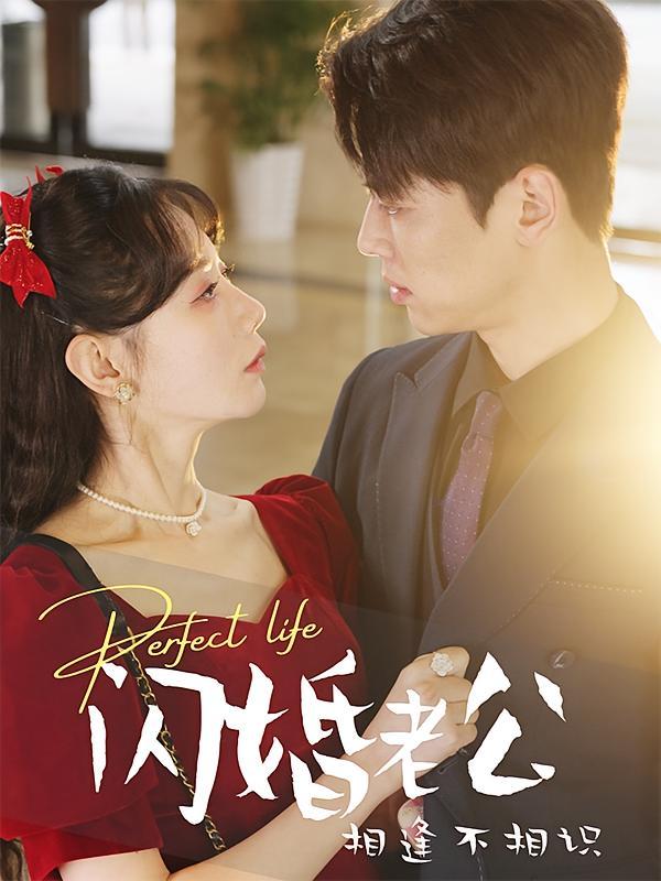 短剧《闪婚老公相逢不相识》海报