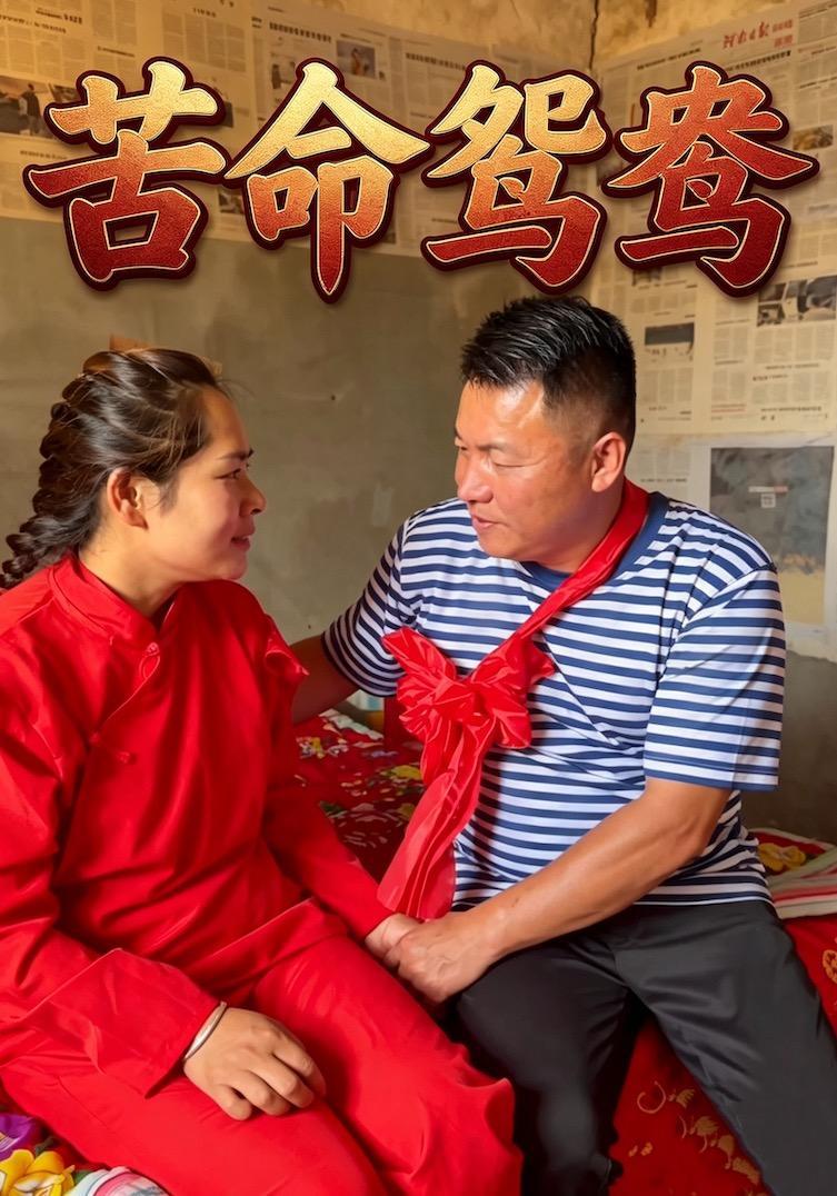 短剧《苦命鸳鸯》海报
