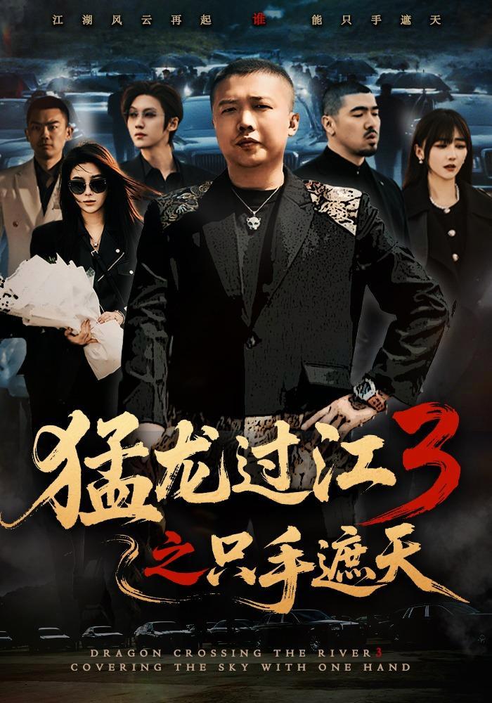 短剧《猛龙过江3之只手遮天》海报