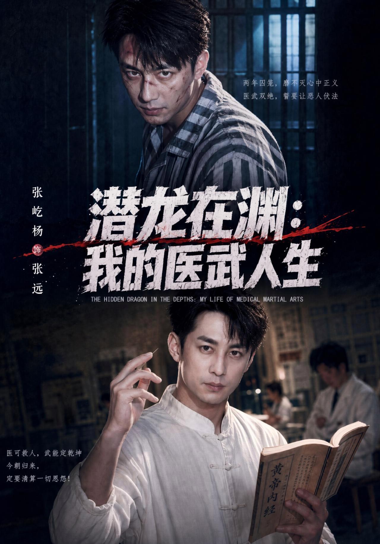 短剧《潜龙在渊：我的医武人生》海报