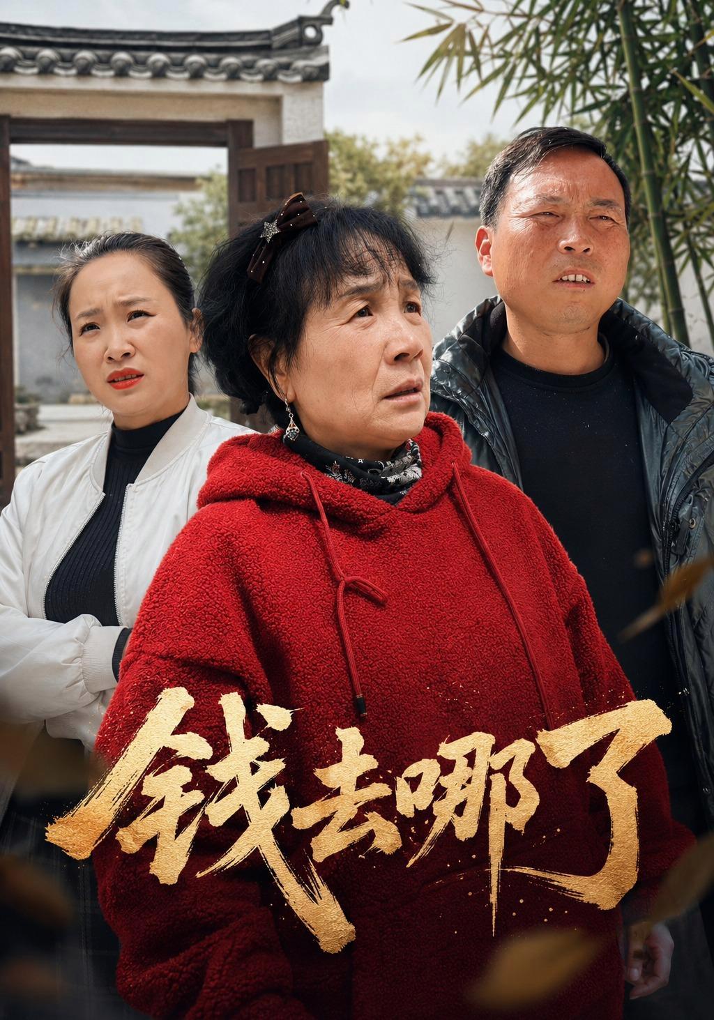 短剧《钱去哪了》海报