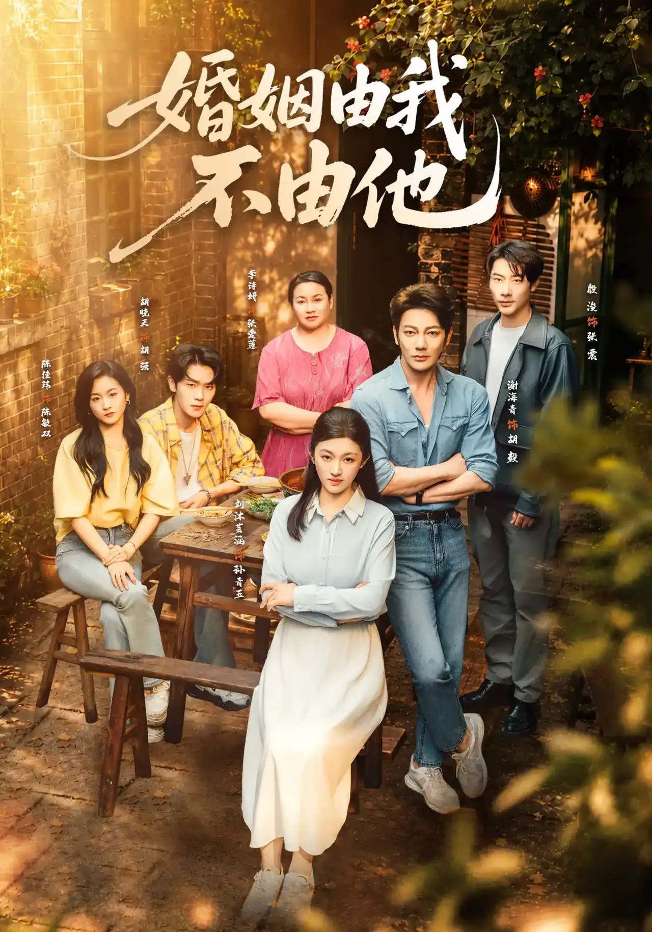 短剧《婚姻由我不由他》海报