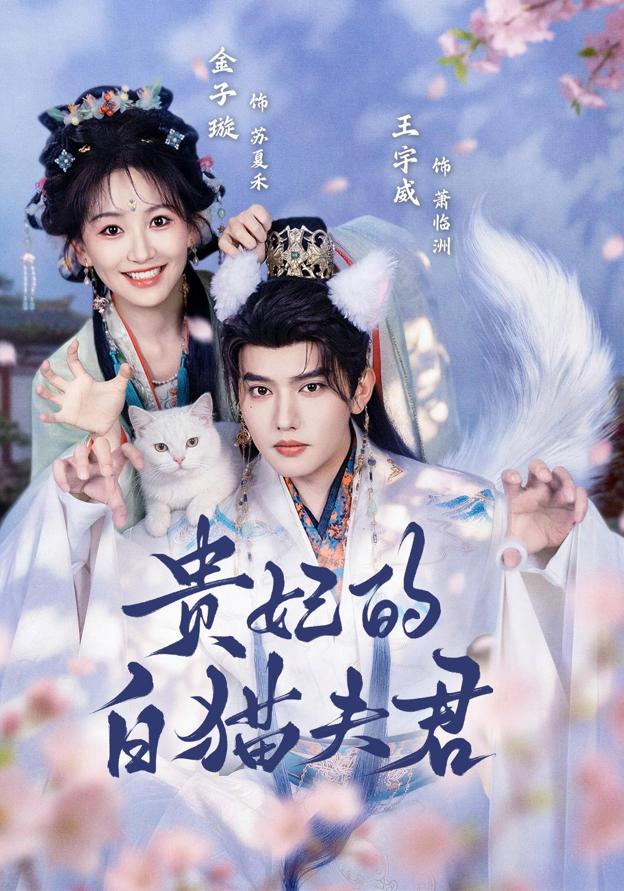 短剧《贵妃的白猫夫君》海报