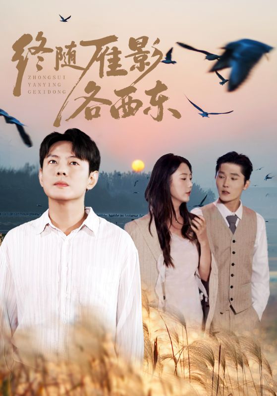 短剧《终随雁影各西东》海报