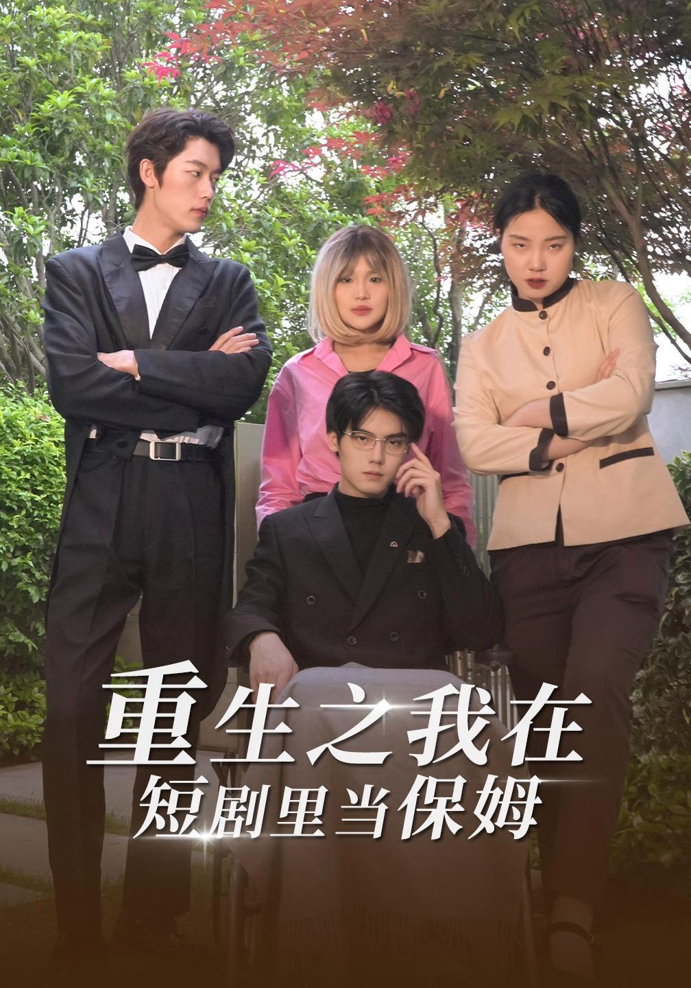短剧《重生之我在短剧里当保姆》海报
