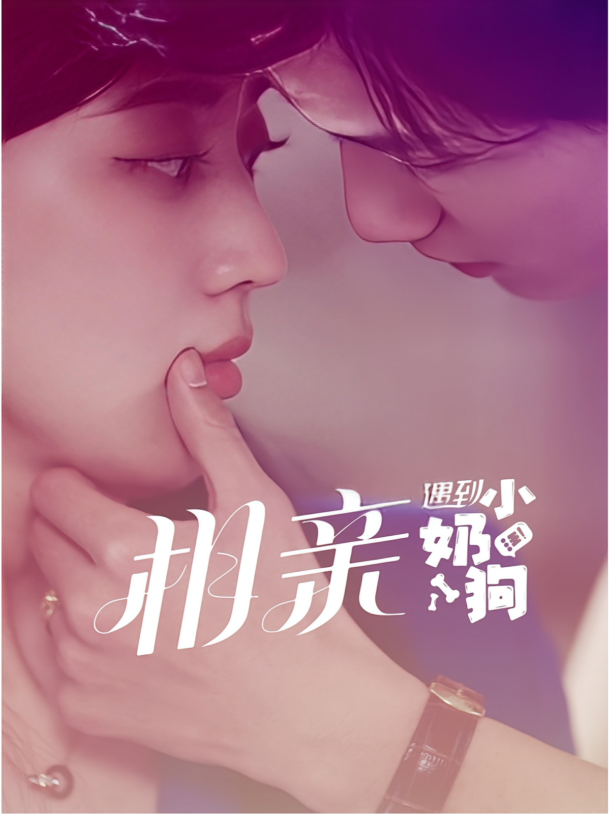 短剧《相亲遇到小奶狗》海报