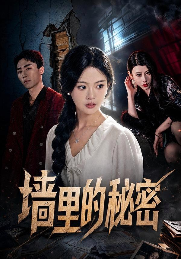 短剧《墙里的秘密》海报