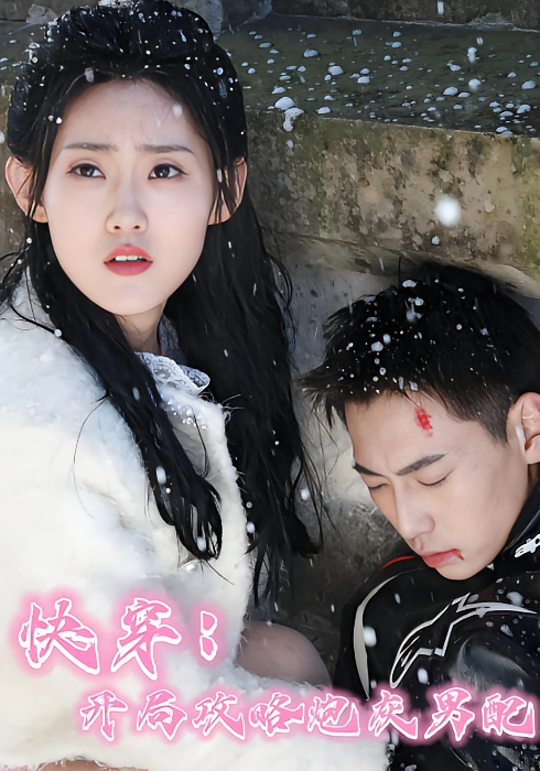 短剧《快穿：开局攻略炮灰男配》海报