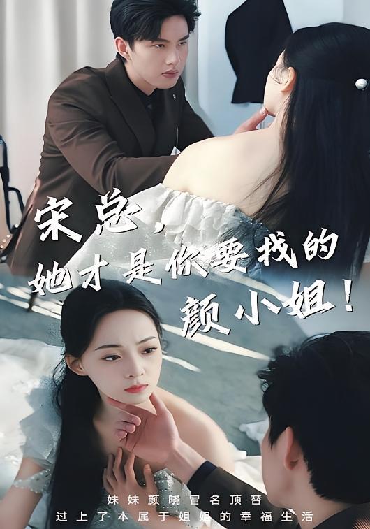 短剧《宋总，她才是你要找的颜小姐！》海报