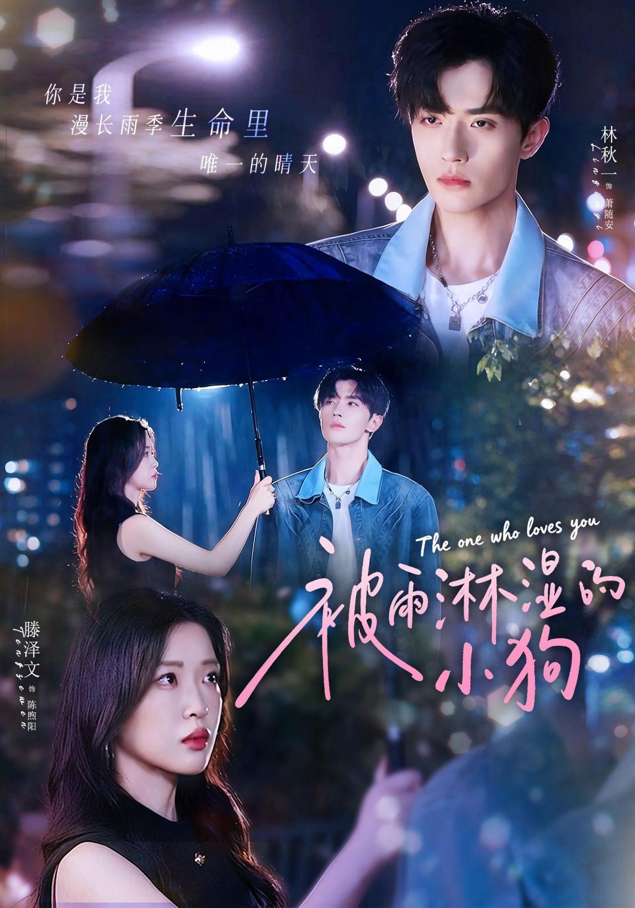 短剧《被雨淋湿的小狗》海报