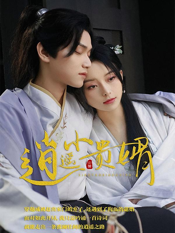 短剧《逍遥小贵婿》海报