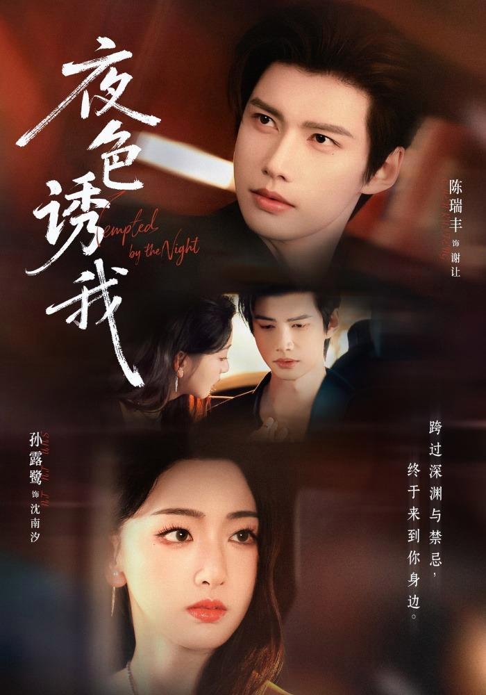 短剧《夜色诱我》海报