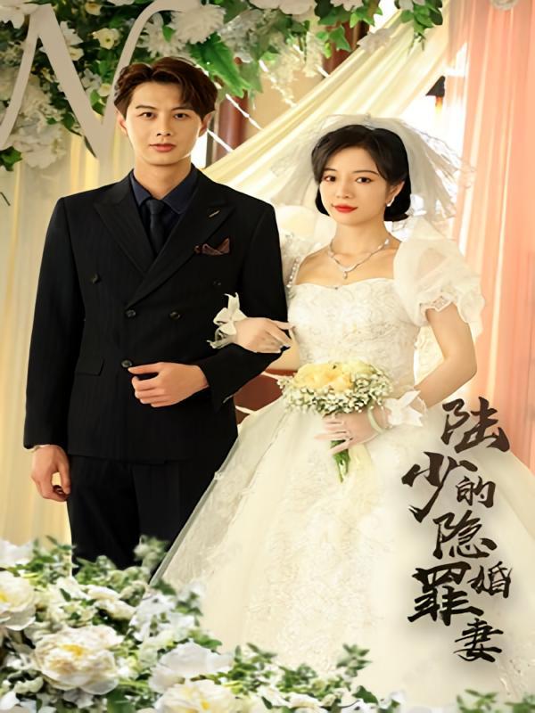 短剧《陆少的隐婚罪妻》海报