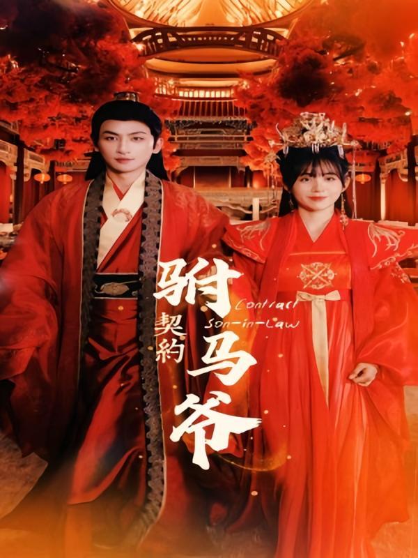 短剧《契约驸马爷》海报