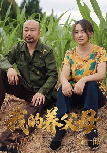 短剧《我的养父母第一部》海报