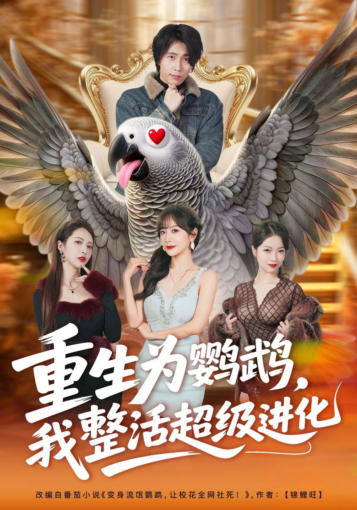 短剧《重生为鹦鹉，我整活超级进化》海报