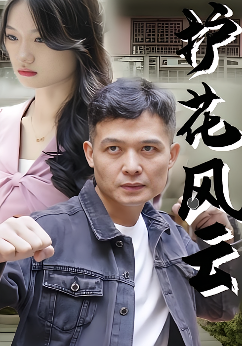 短剧《护花风云》海报