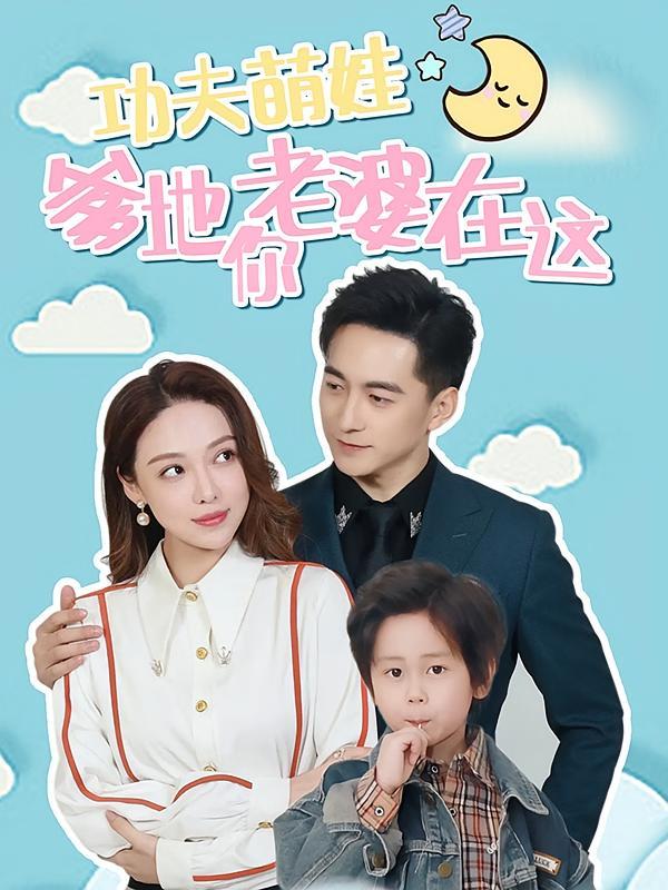 短剧《功夫萌娃爹地你老婆在这》海报