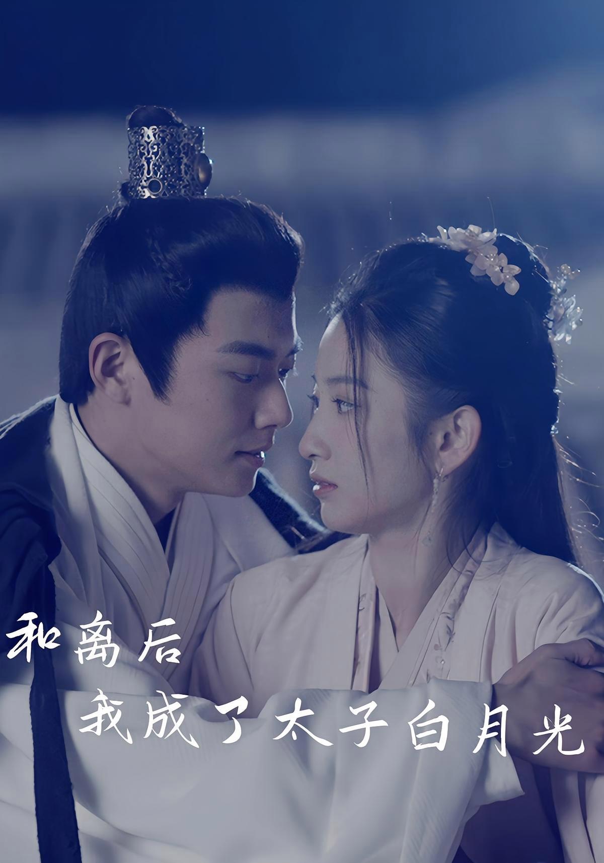 短剧《和离后我成了太子白月光》海报