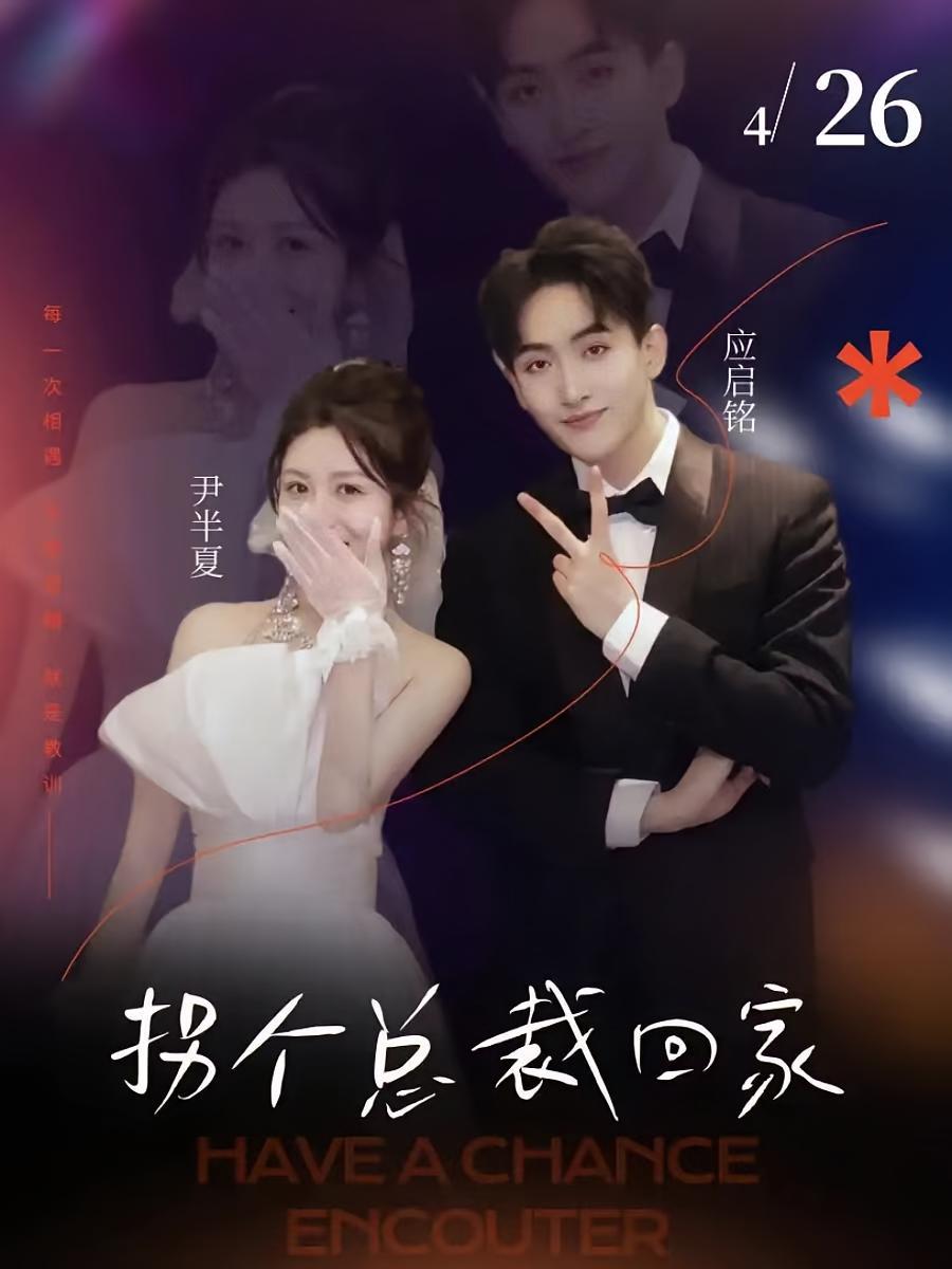 短剧《拐个总裁回家》海报