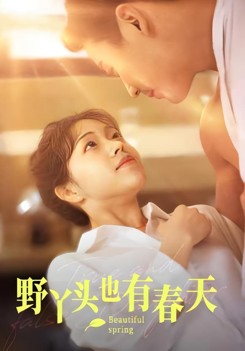 短剧《野丫头也有春天》海报